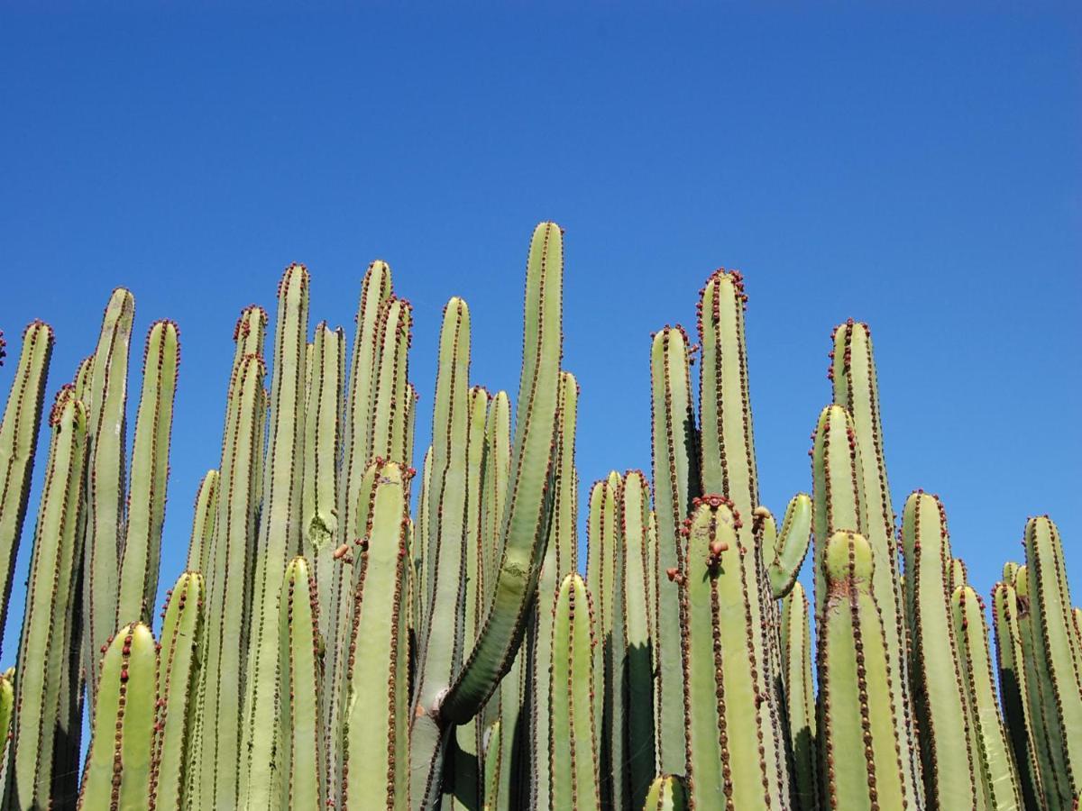 Los Lagos 20 By Villagrancanaria Salobre  Eksteriør billede